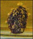raisins in soda